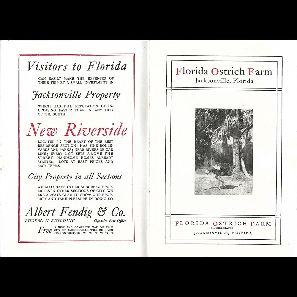 Florida Ostrich Farm - Plaquette de la maison de plumes de Jacksonville (1910s)