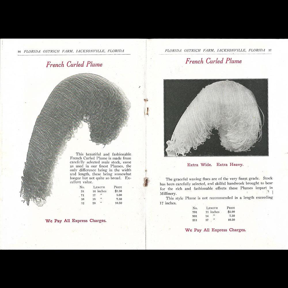 Florida Ostrich Farm - Plaquette de la maison de plumes de Jacksonville (1910s)