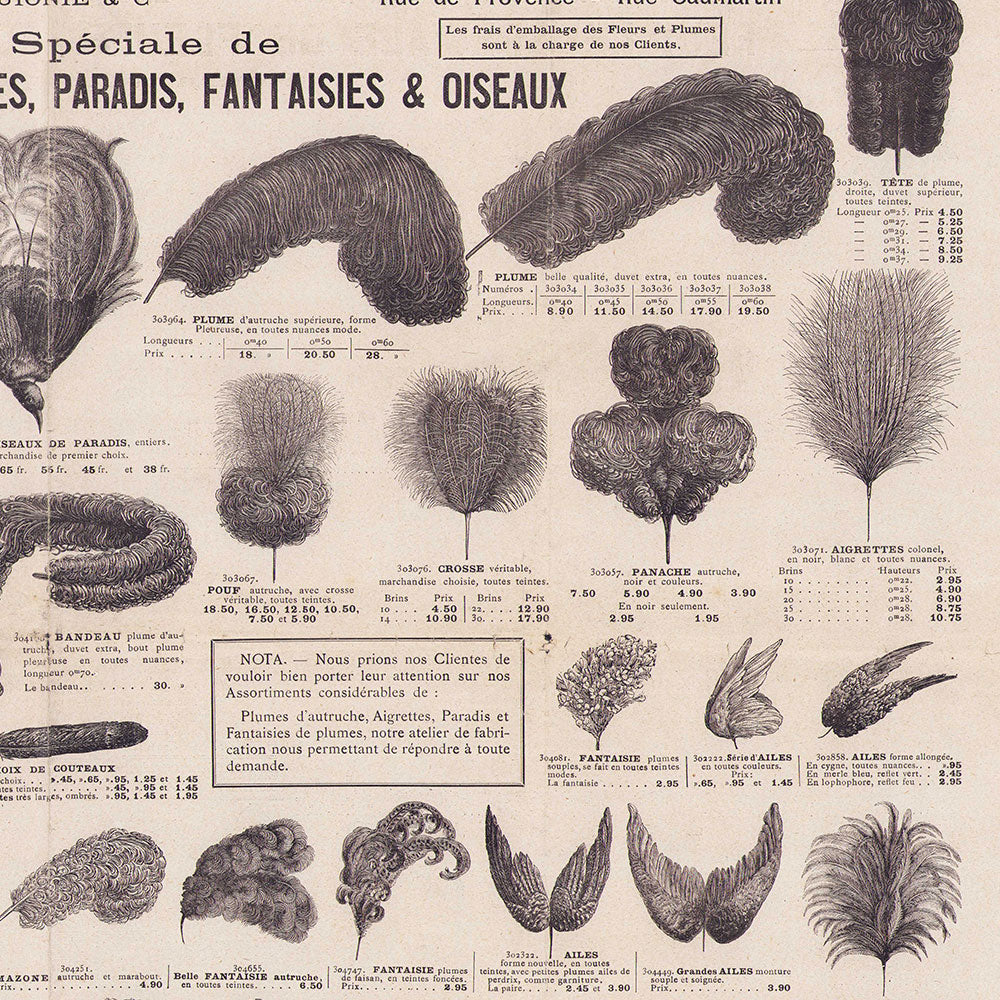 Au Printemps - Feuille spéciale de Plumes d'autruche, Aigrette, Paradis, Fantaisies et Oiseaux (circa 1907)